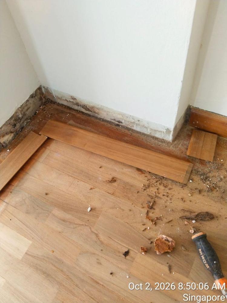 Skirting removed to expose damaged parquet edges and old adhesive