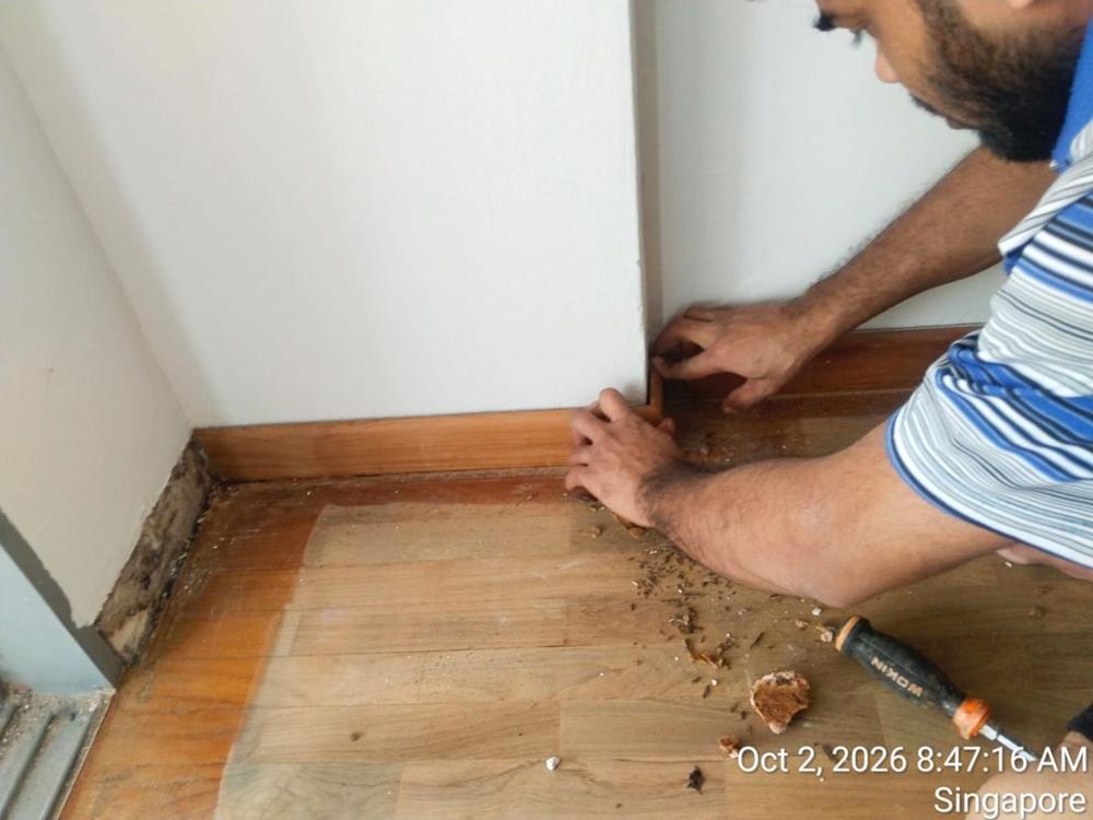 Technician scraping old adhesive along the skirting before refitting parquet