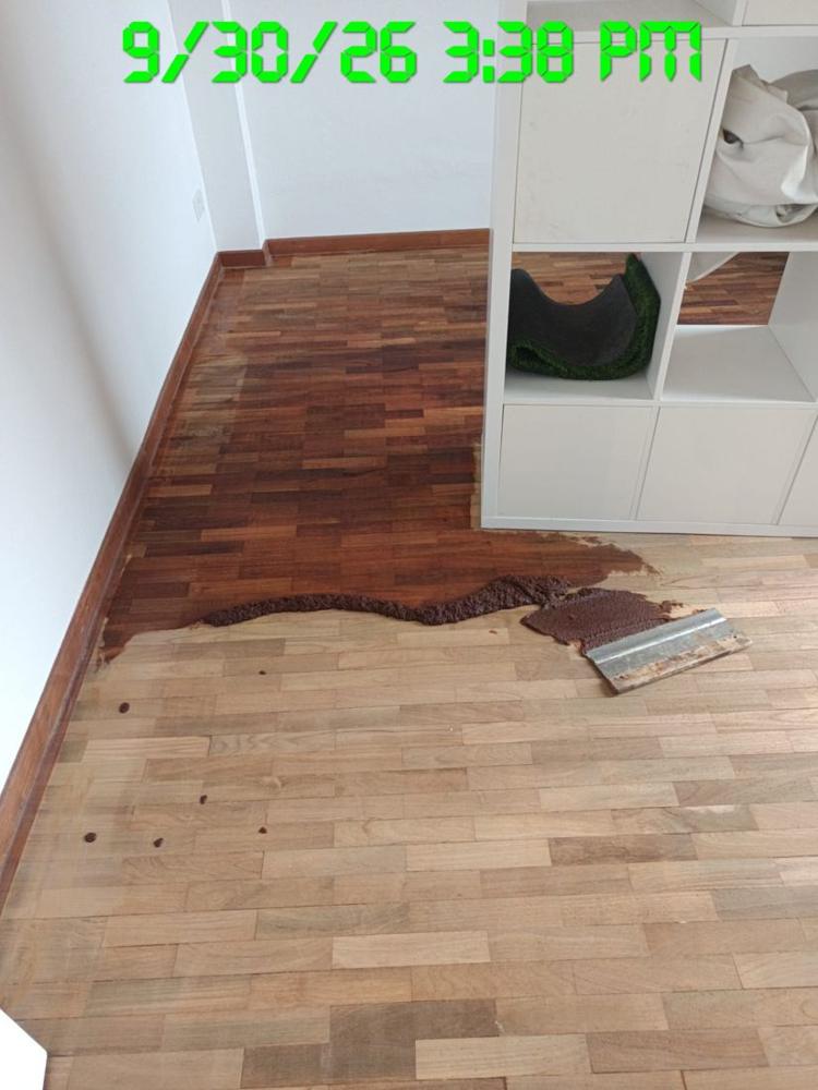 Sealer applied over sanded parquet, showing wet and dry areas