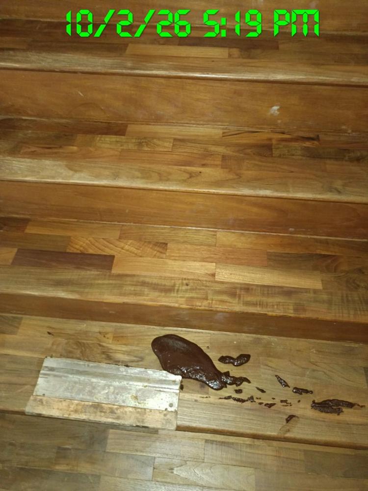 Timber stair tread with a damaged section cut out for replacement