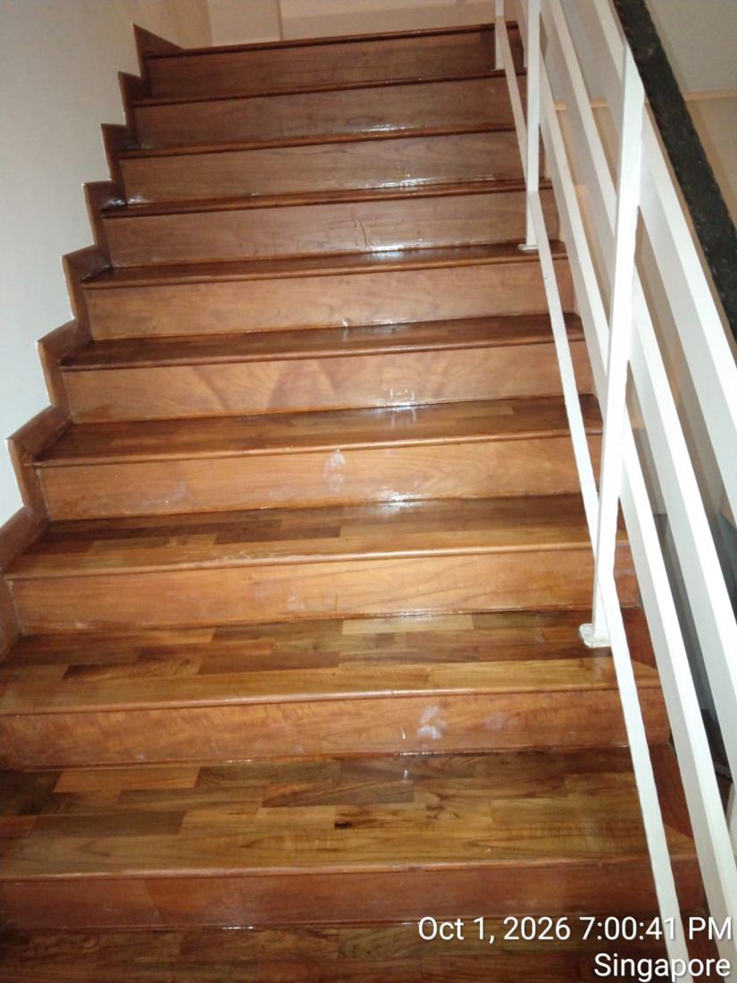 Varnished staircase treads and risers