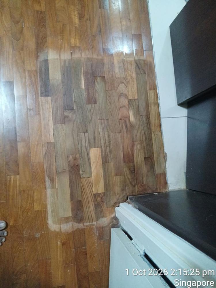 Repaired parquet patch sanded level with the surrounding floor