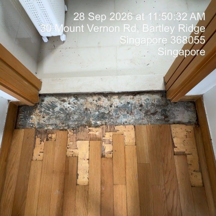 Rotten parquet pieces cut out along a bathroom threshold